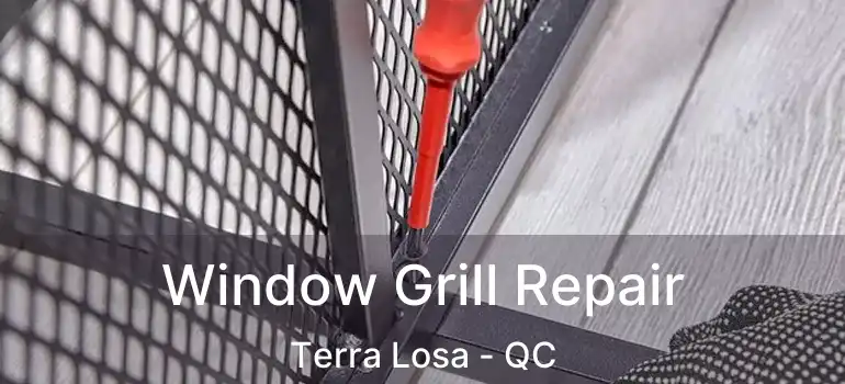  Window Grill Repair Terra Losa - QC