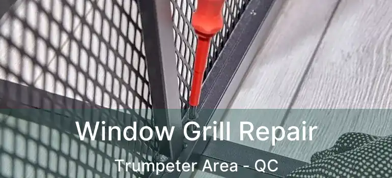  Window Grill Repair Trumpeter Area - QC