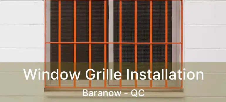  Window Grille Installation Baranow - QC