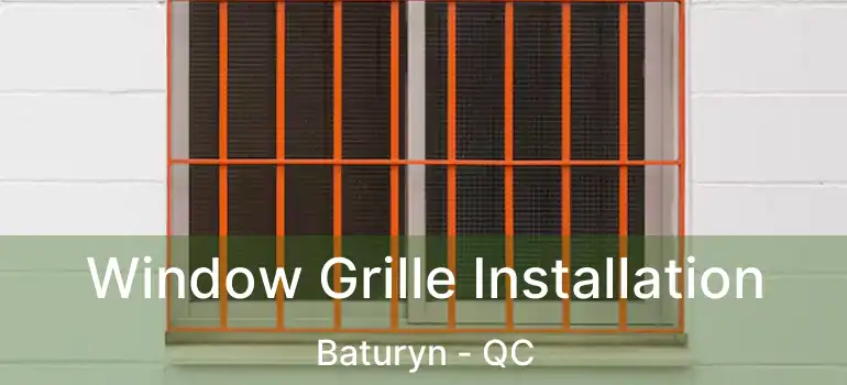  Window Grille Installation Baturyn - QC