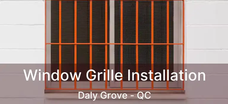  Window Grille Installation Daly Grove - QC