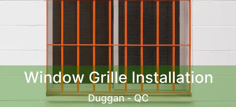  Window Grille Installation Duggan - QC
