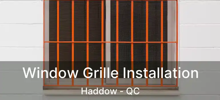  Window Grille Installation Haddow - QC