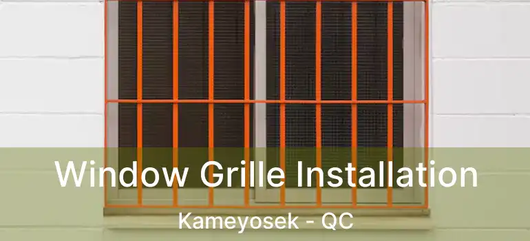  Window Grille Installation Kameyosek - QC