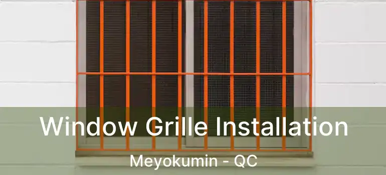  Window Grille Installation Meyokumin - QC