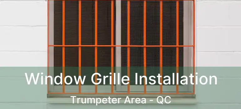 Window Grille Installation Trumpeter Area - QC