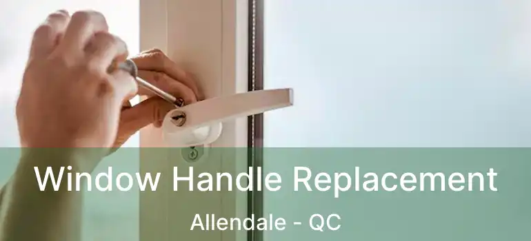  Window Handle Replacement Allendale - QC