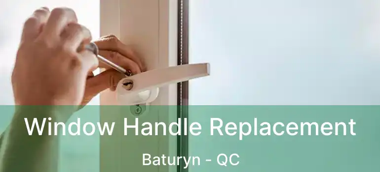  Window Handle Replacement Baturyn - QC