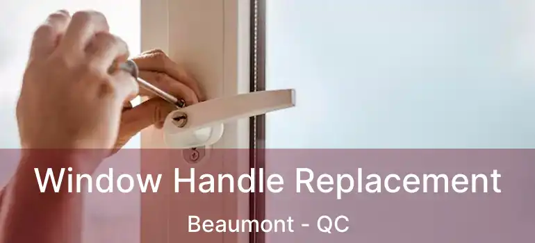  Window Handle Replacement Beaumont - QC