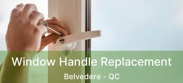  Window Handle Replacement Belvedere - QC