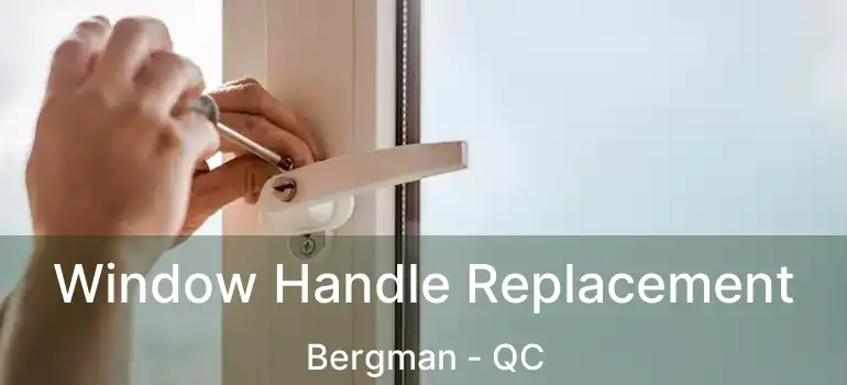  Window Handle Replacement Bergman - QC