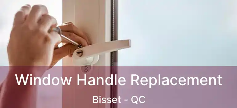  Window Handle Replacement Bisset - QC