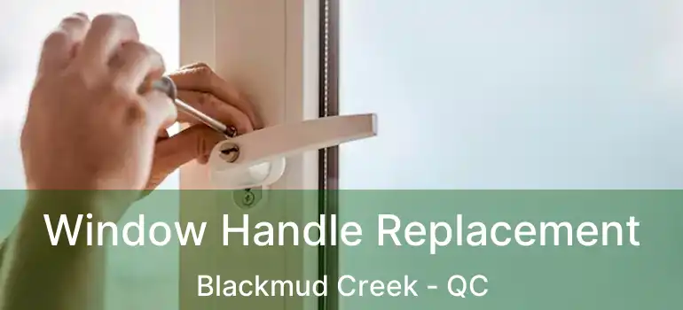  Window Handle Replacement Blackmud Creek - QC