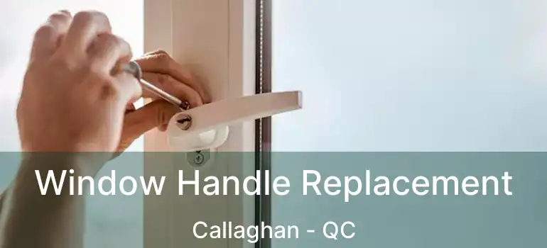  Window Handle Replacement Callaghan - QC