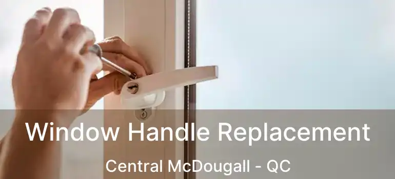  Window Handle Replacement Central McDougall - QC