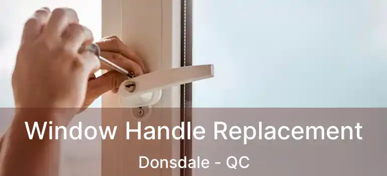  Window Handle Replacement Donsdale - QC