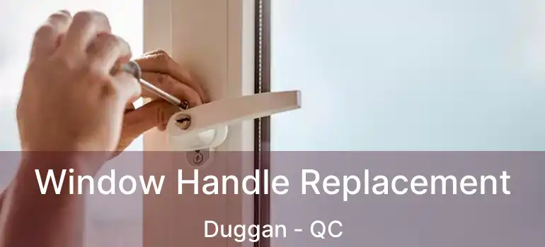  Window Handle Replacement Duggan - QC