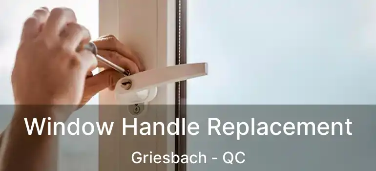  Window Handle Replacement Griesbach - QC