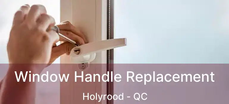  Window Handle Replacement Holyrood - QC