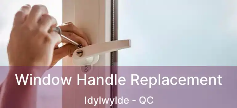  Window Handle Replacement Idylwylde - QC