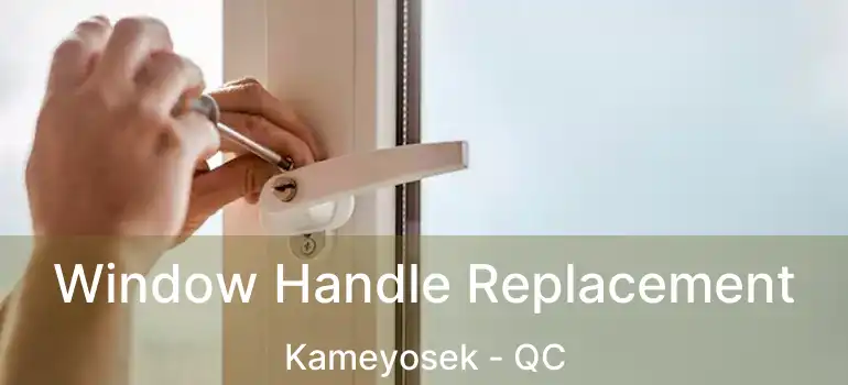  Window Handle Replacement Kameyosek - QC