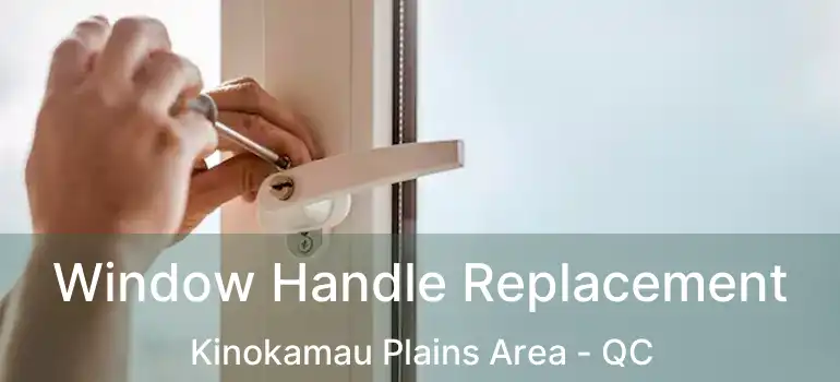  Window Handle Replacement Kinokamau Plains Area - QC