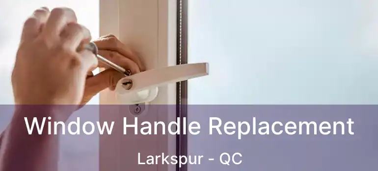  Window Handle Replacement Larkspur - QC