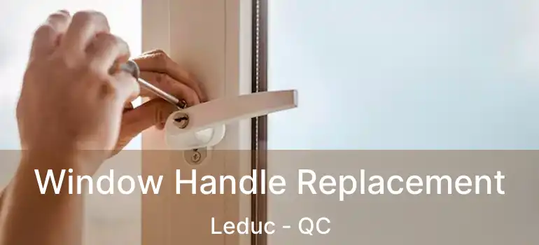  Window Handle Replacement Leduc - QC