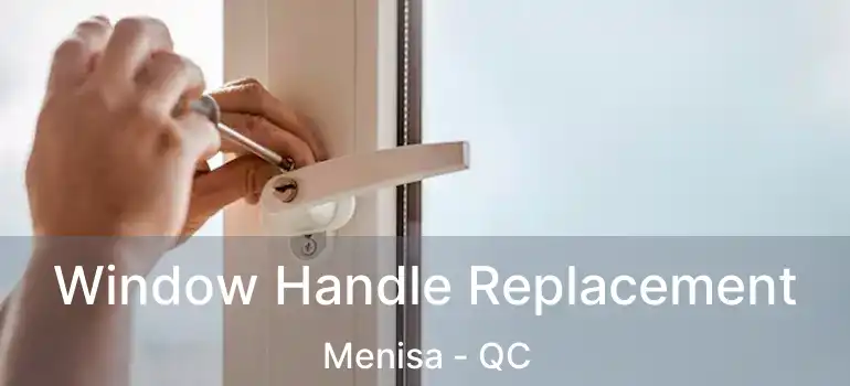  Window Handle Replacement Menisa - QC