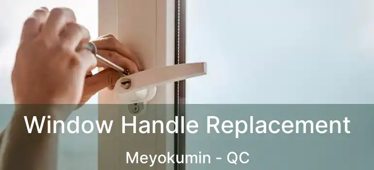  Window Handle Replacement Meyokumin - QC