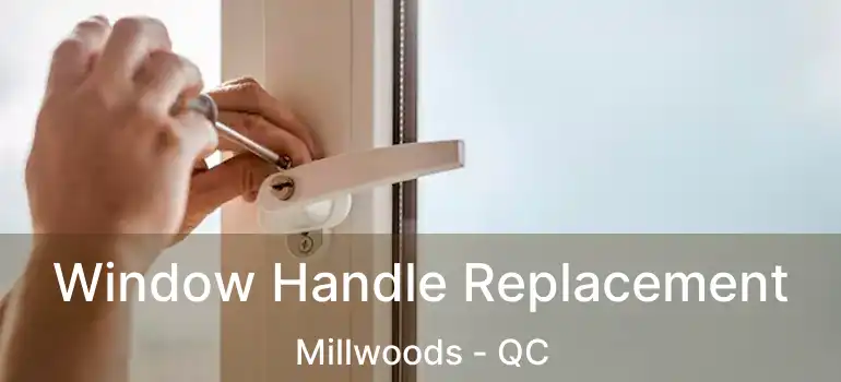  Window Handle Replacement Millwoods - QC