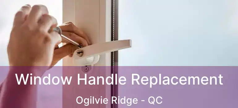  Window Handle Replacement Ogilvie Ridge - QC