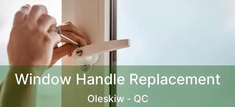  Window Handle Replacement Oleskiw - QC