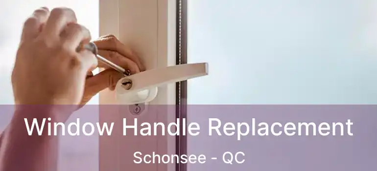  Window Handle Replacement Schonsee - QC