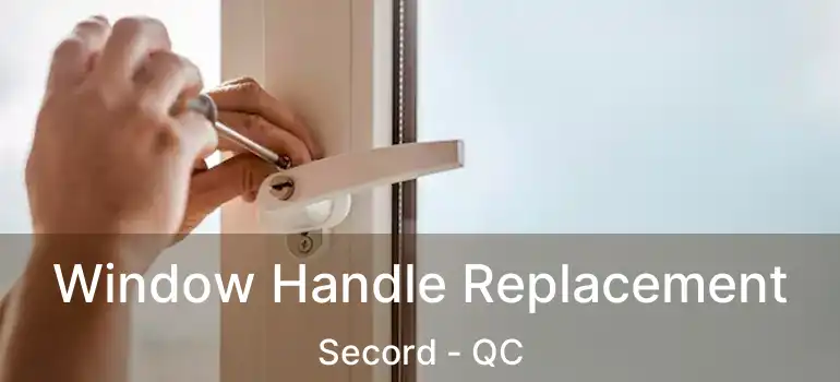  Window Handle Replacement Secord - QC