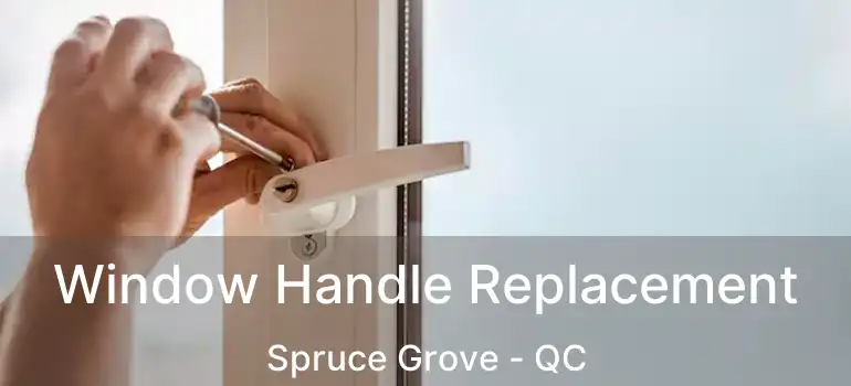  Window Handle Replacement Spruce Grove - QC