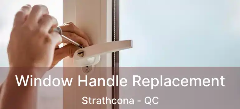  Window Handle Replacement Strathcona - QC
