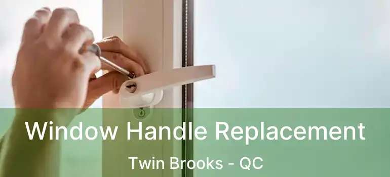  Window Handle Replacement Twin Brooks - QC