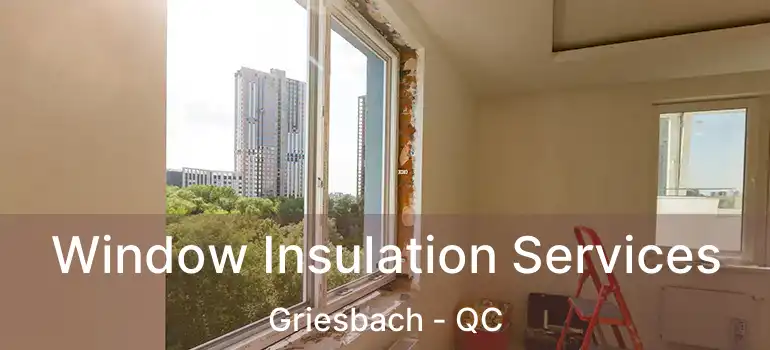  Window Insulation Services Griesbach - QC