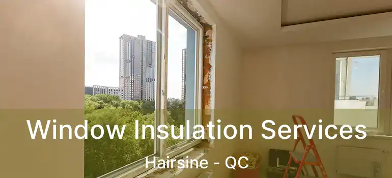  Window Insulation Services Hairsine - QC