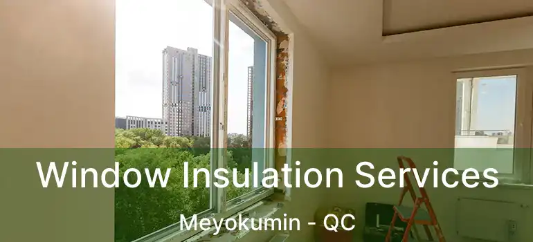  Window Insulation Services Meyokumin - QC