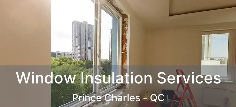  Window Insulation Services Prince Charles - QC