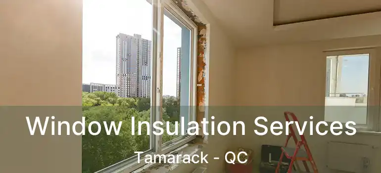  Window Insulation Services Tamarack - QC