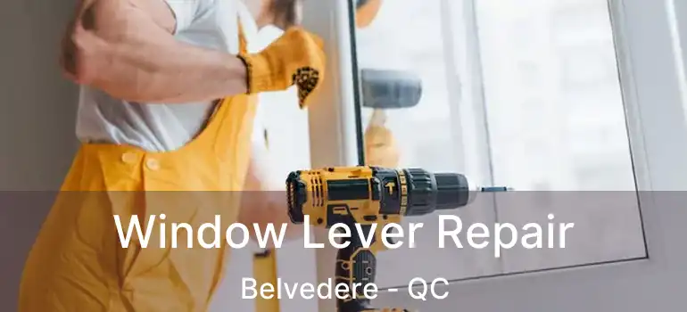  Window Lever Repair Belvedere - QC