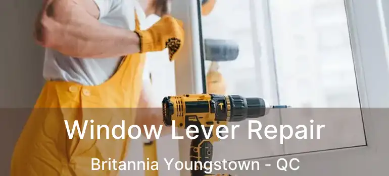  Window Lever Repair Britannia Youngstown - QC