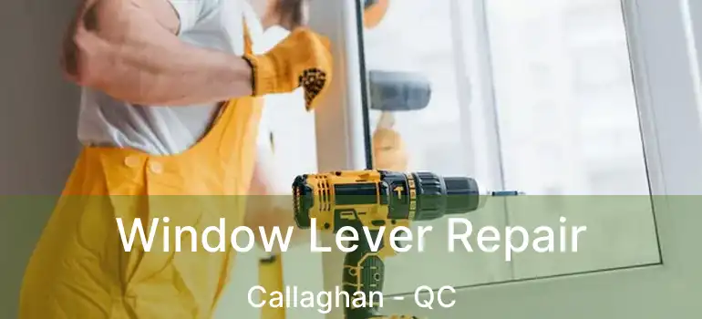  Window Lever Repair Callaghan - QC
