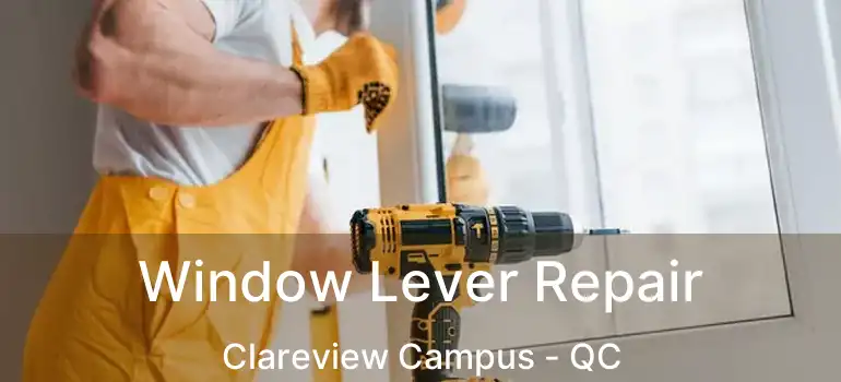  Window Lever Repair Clareview Campus - QC