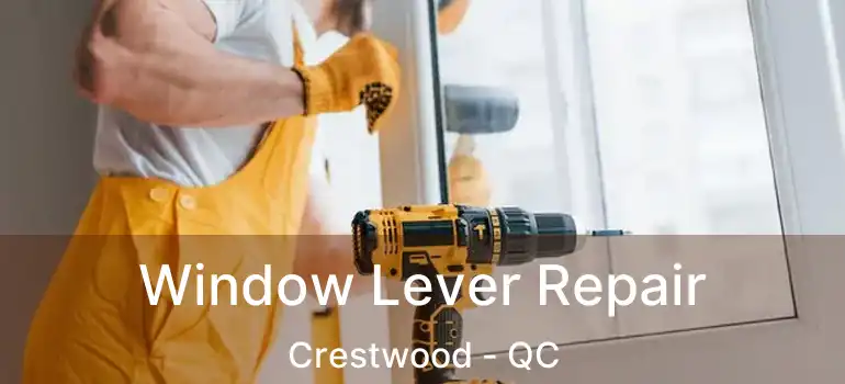  Window Lever Repair Crestwood - QC