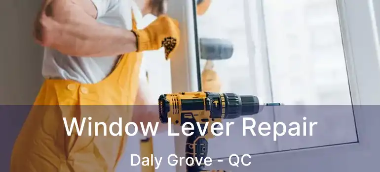  Window Lever Repair Daly Grove - QC