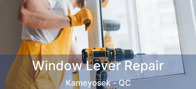  Window Lever Repair Kameyosek - QC